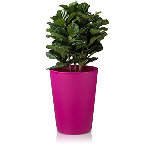 Plastic Planter TUBO 65 Plant Pot 49x49x65 cm fuchsia matt surface 0 3 1